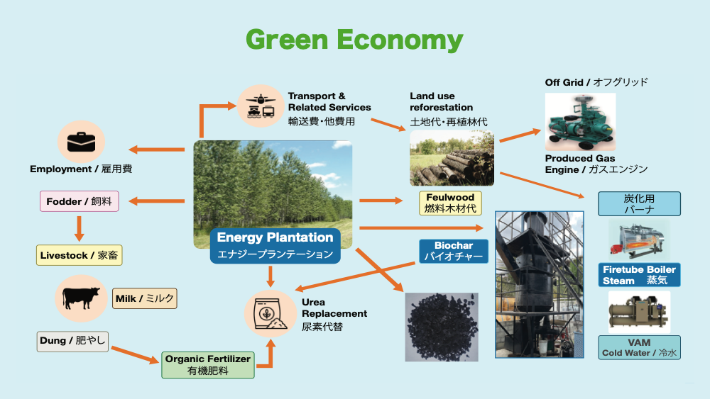 エナジープランテーション2